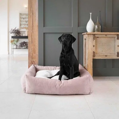 Dunelm Lords and Labradors Velvet Box Dog Bed