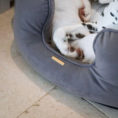 Dunelm Lords and Labradors Velvet High Wall Dog Bed