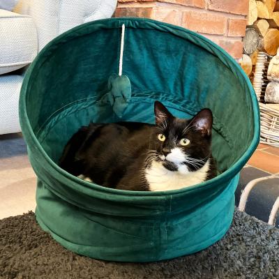 Dunelm Rosewood Velvet Canopy Green Cat Bed