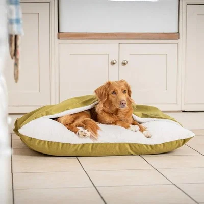 Dunelm Lords and Labradors Burrow Dog Bed