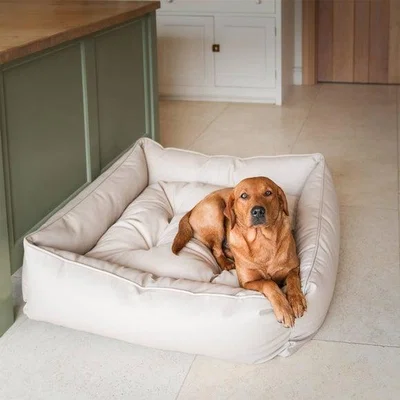 Dunelm Lords and Labradors Rhino Leather Box Dog Bed