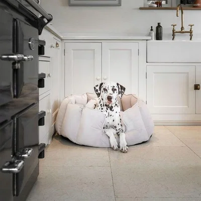 Dunelm Lords and Labradors Velvet High Wall Dog Bed