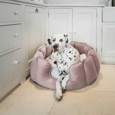 Dunelm Lords and Labradors Velvet High Wall Dog Bed