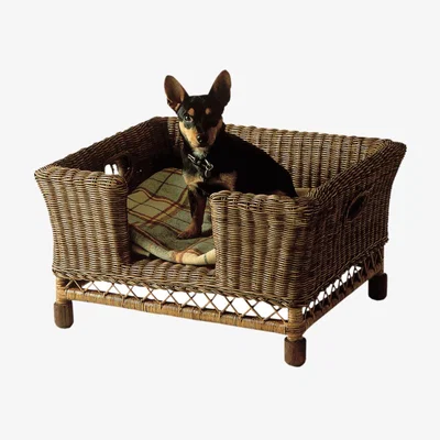 OKA Rattan Mattaban Pet Bed, Small