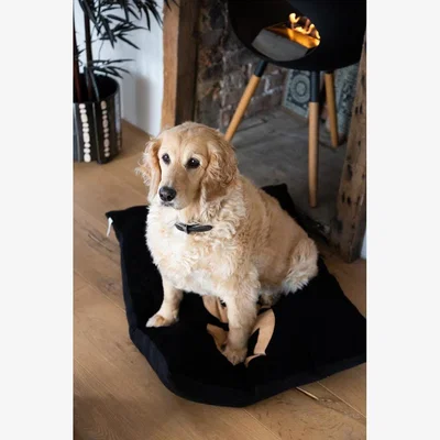 Rockett St George Stud Dog Bed - 3 Available Sizes