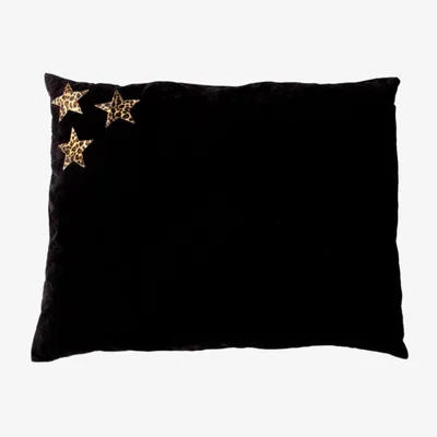 Rockett St George Leopard Stars Dog Bed- Large