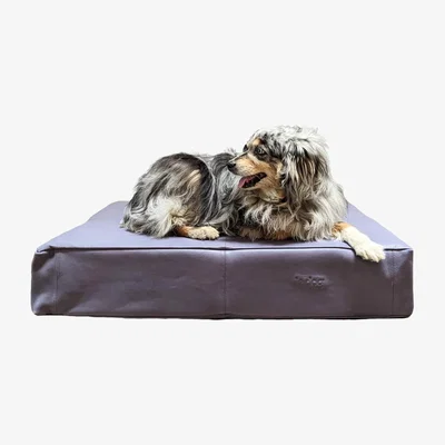 Wolf & Badger Le Bed - Leather Dog Bed In Slate Grey | Le Dog Company
