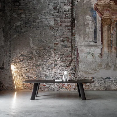Amara GHIDINI 1961 - Native Rectangular Dining Table - Wood