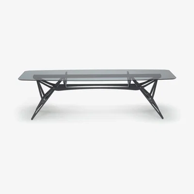 The Conran Shop Exclusive Reale Table in Smokey Glass & Black Oak 280cm x 100cm