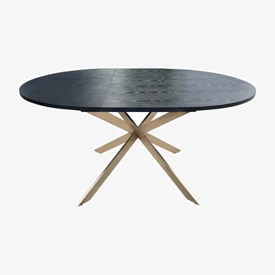 Furniture123 Round to Oval Black Extendable Dining Table with Brass Legs - Reine