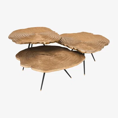 Barker and Stonehouse Eichholtz Quercus Coffee Table Brass Finish Set Of 3, Round, Gold | Barker & Stonehouse