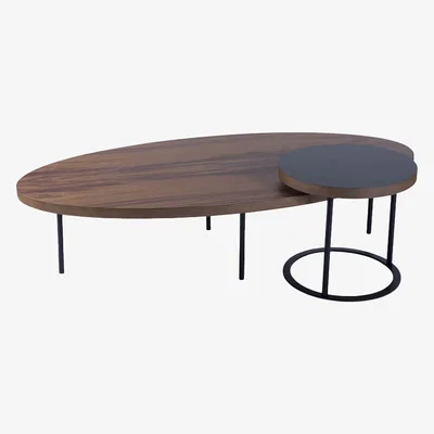 Bombinate.com Walnut Treasure Coffee Table