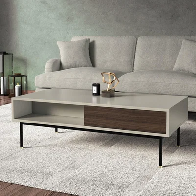 Furniture123 Taupe Rectangle Coffee Table with Storage Drawer - Kallen