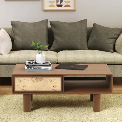 La Redoute Umber Burl & Mango Wood Coffee Table