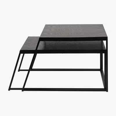 Olivia's Olivia's Mason Set of 2 Veneer & Metal Coffee Tables in Black