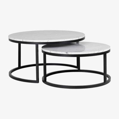 Olivia's Richmond Set of 2 Lexington White Coffee Table