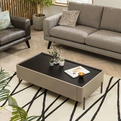 Quatropi Quatropi Modern Coffee Table With Storage - Premium Matte Lacquered Taupe Finish 120x64cm