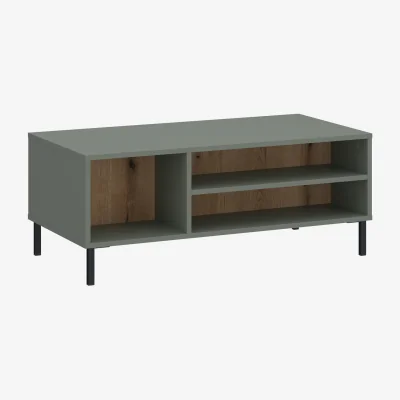 The Range Darwin Coffee Table in Green/Oak - Green & Oak