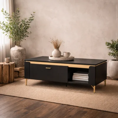 The Range Marslet Narrow Coffee Table Matt with Gold Accents 1 Drawer - Black and Gold