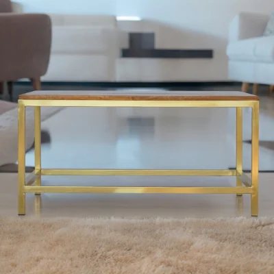 The Range Solid Wood Rectangle Gold Coffee Table - Brwn