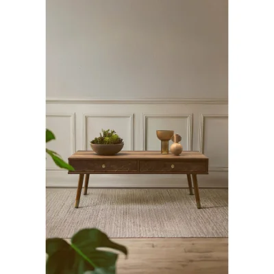 The Range Frida Wood Veneer Coffee Table with 2 Drawers - Brown