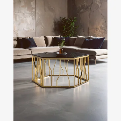 The Range Alvaro Gold and Black Hexagonal Coffee Table - Black