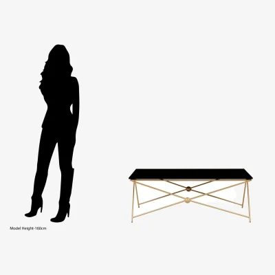 The Range Monroe Gold Finish Coffee Table - Black