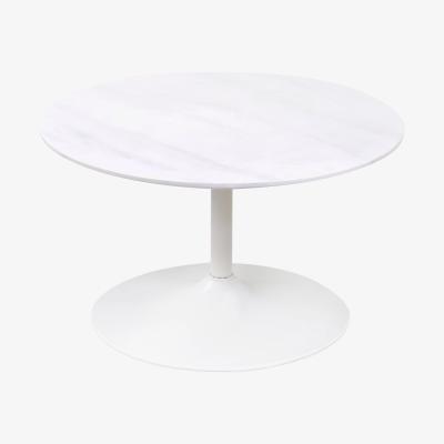 Teddy Beau Teddy's Collection Hallie Coffee Table