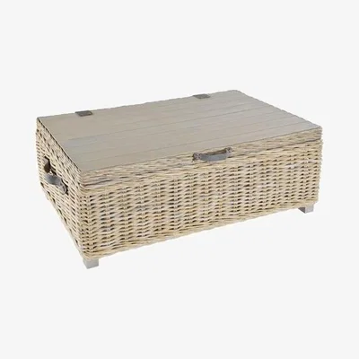 Teddy Beau Rowico Maya Grey Storage Coffee Table