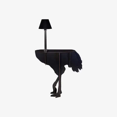 Amara ibride - Mobilier De Compagnie Illuminated Ostrich Console Table - Brushed Black