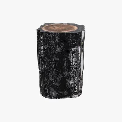 Barker and Stonehouse Timothy Oulton Floem Side Table, Burnt Wood and Acrylic