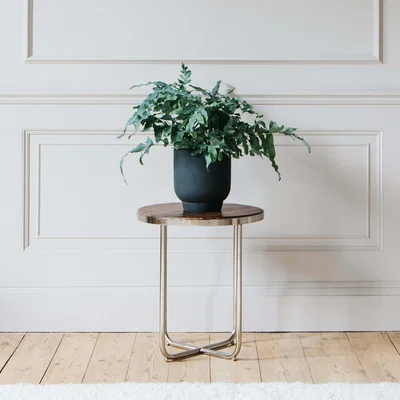 Graham & Green Clarence Side Table