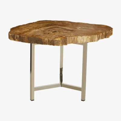 Pagazzi Relic Natural Petrified Wood Small Side Table