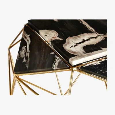 The Range Relic Dark Petrified Wood Side Table - Gold