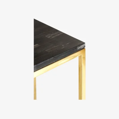 The Range Relic Dark Petrified Wood Pedestal Table - Gold