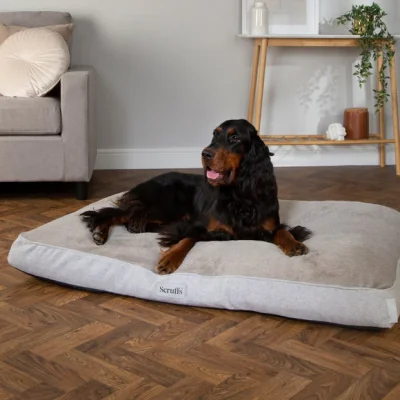 Dunelm Scruffs Harvard Memory Foam Orthopaedic Mattress Pearl (Ivory)