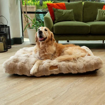 Dunelm Scruffs Luxurious Alpine Dog Mattress