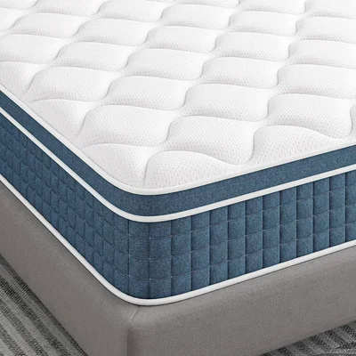 The Range Spring Mattress Medium Firm - Blue+white / Single
