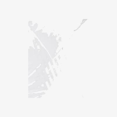 Marks & Spencer M&S Warm & Toasty 15 Tog Duvet - 6FT - White, White