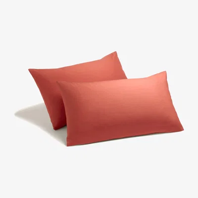 The Range Poetry Plain Dye King Size  Polycotton Fitted Sheet - Brown / King