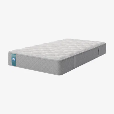 Furniture Village Sealy - Waltham Mattress - Single