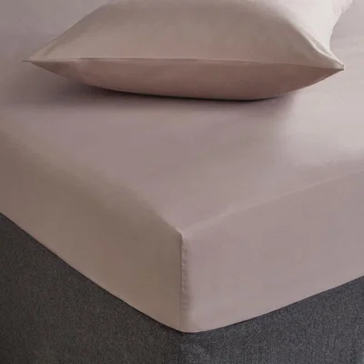 Dunelm Fogarty Soft Touch Fitted Sheet Mink (Brown)