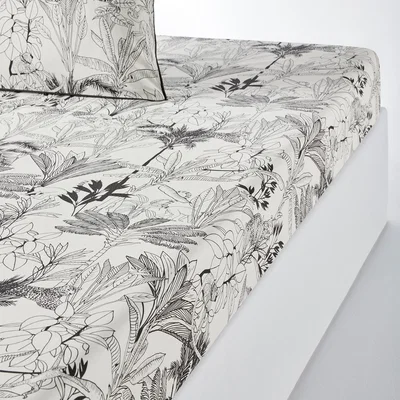 La Redoute Palmeira Fitted Sheet in Cotton Percale