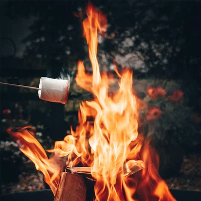 The Range Steel Garden Firepit Bowl - Black