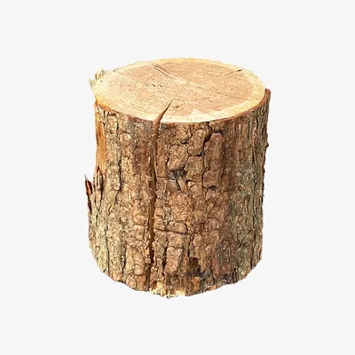 The Range Firewood Chopping Block Log Splitting Stump - Neutral