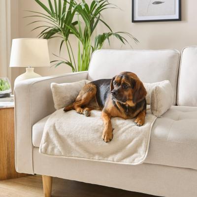 Dunelm Ivory Velvet Sofa Dog Bed Ivory