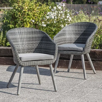 Dunelm Georgiana Set of 2 Grey Chairs Grey