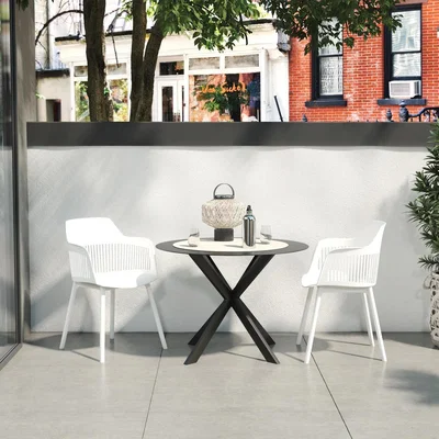 The Range Camelo Resin Chairs 2PK - White