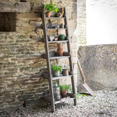 Cuckooland Garden Trading Aldsworth Narrow Wooden Ladder Shelf