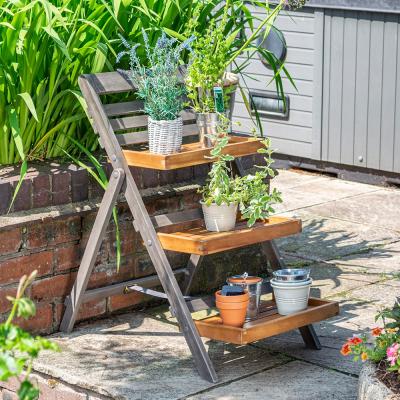 Cuckooland Rowlinson Alderley Hardwood Plant Ladder - Small